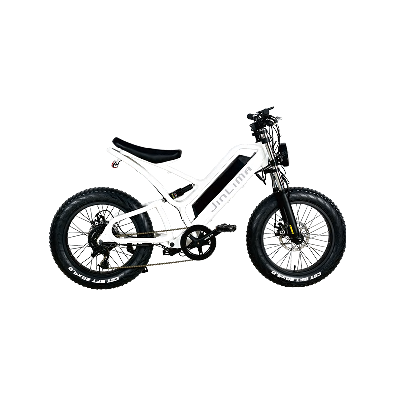 Aké sú hlavné typy elektronických bicyklov na trhu?